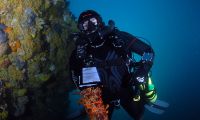 Rubens gets a cray on rebreather